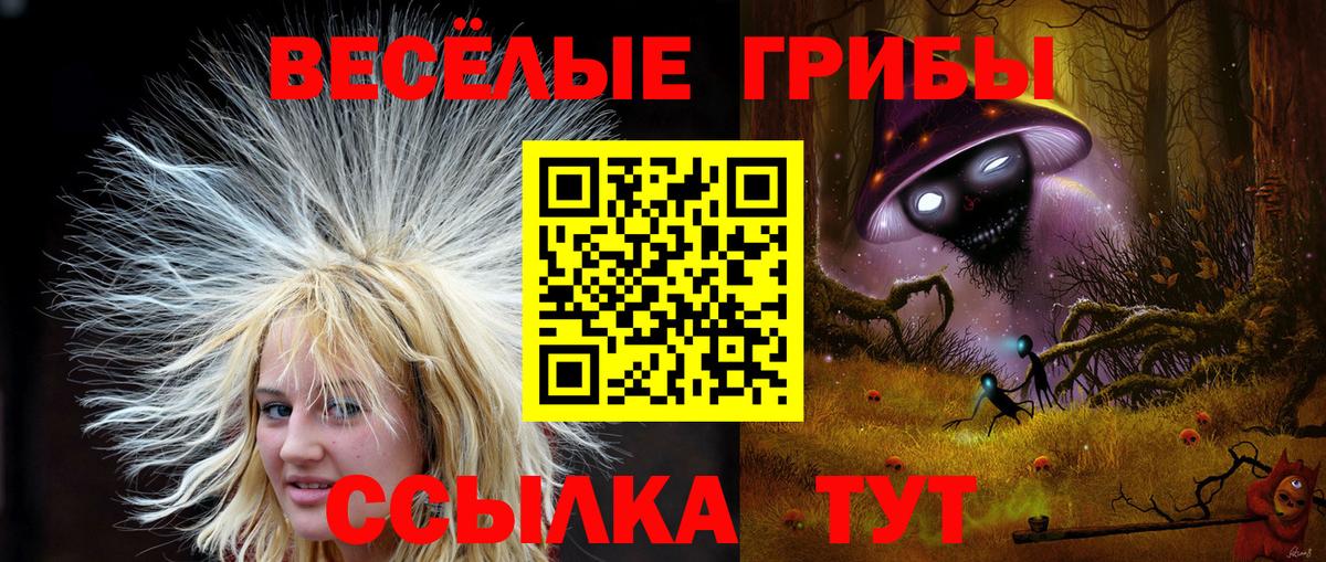 Галлюциногенные грибы GOLDEN TEACHER  Вход с VPN  Гуково  Псилоцибиновые грибы GOLDEN TEACHER 
